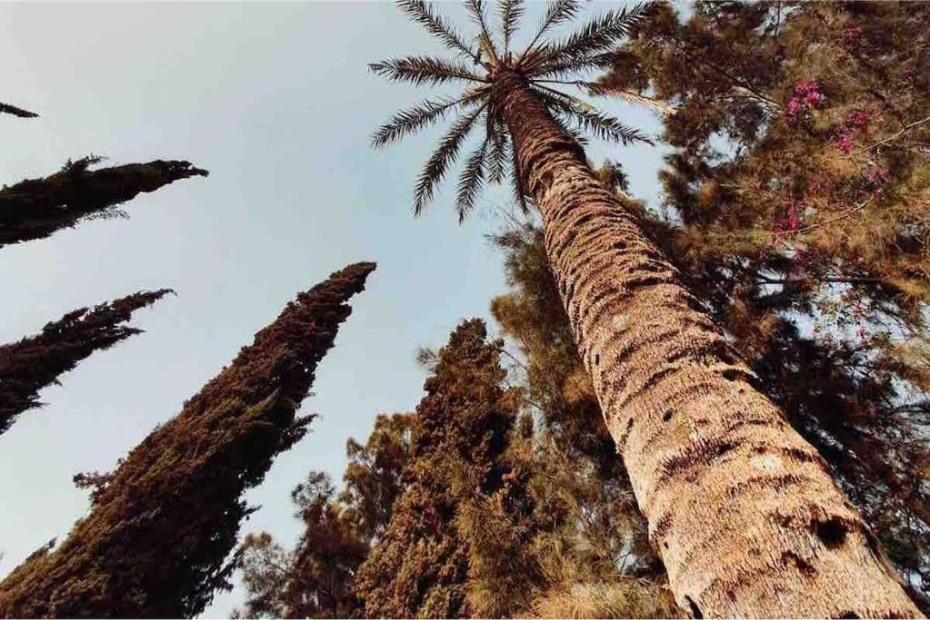 Villa Piscine Agadir Esterno foto